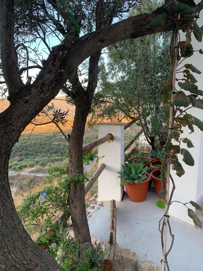 Гостевой дом Cortijo Samadhi Ланхарон Экстерьер фото