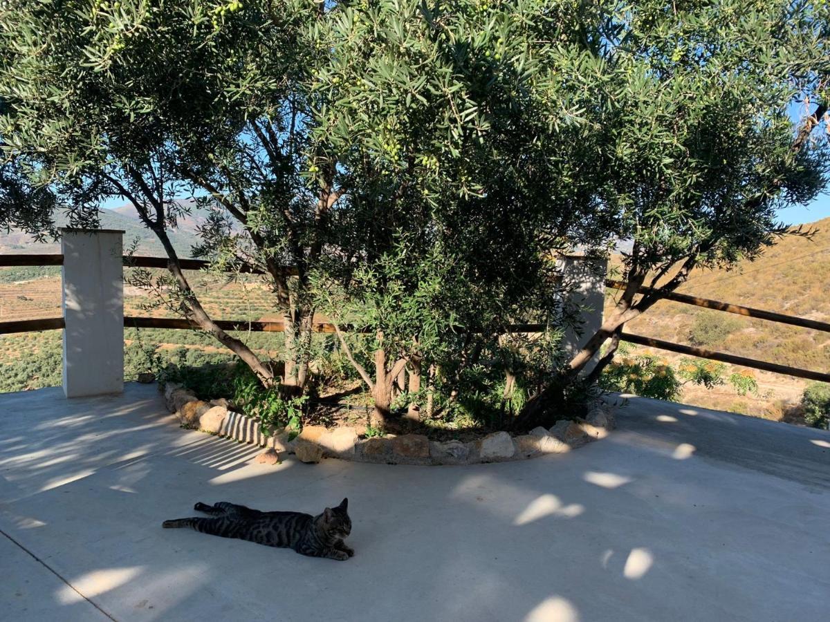 Гостевой дом Cortijo Samadhi Ланхарон Экстерьер фото